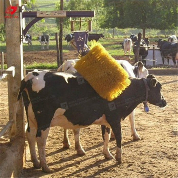 Animal Body Cleaning Massage Cow Brush CE For Farm Poultry Equipment